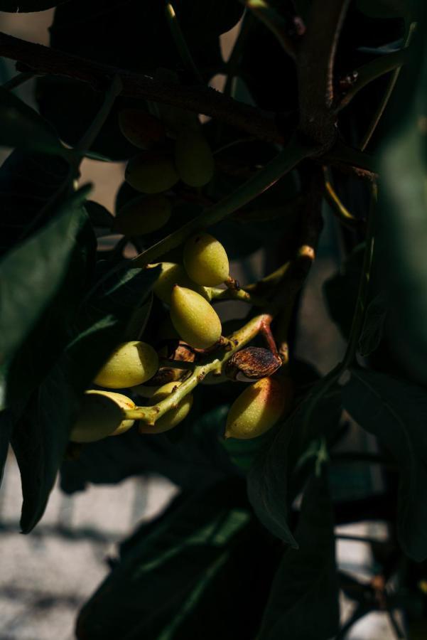 Casa Nova Agroturismo Resende Eksteriør billede